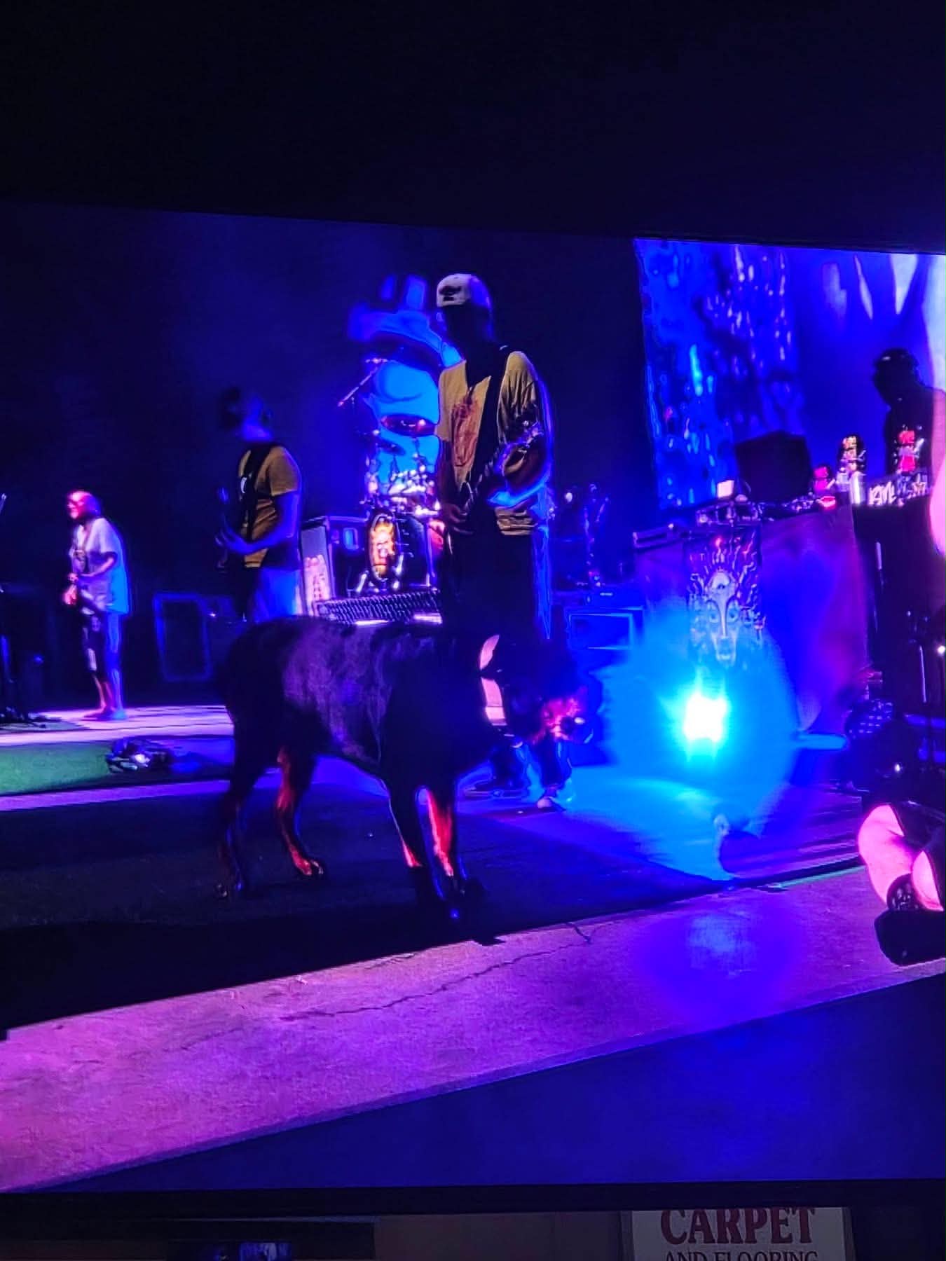 Sublime2026-09-18TheAmphitheaterTuscaloosaAL (4).jpg